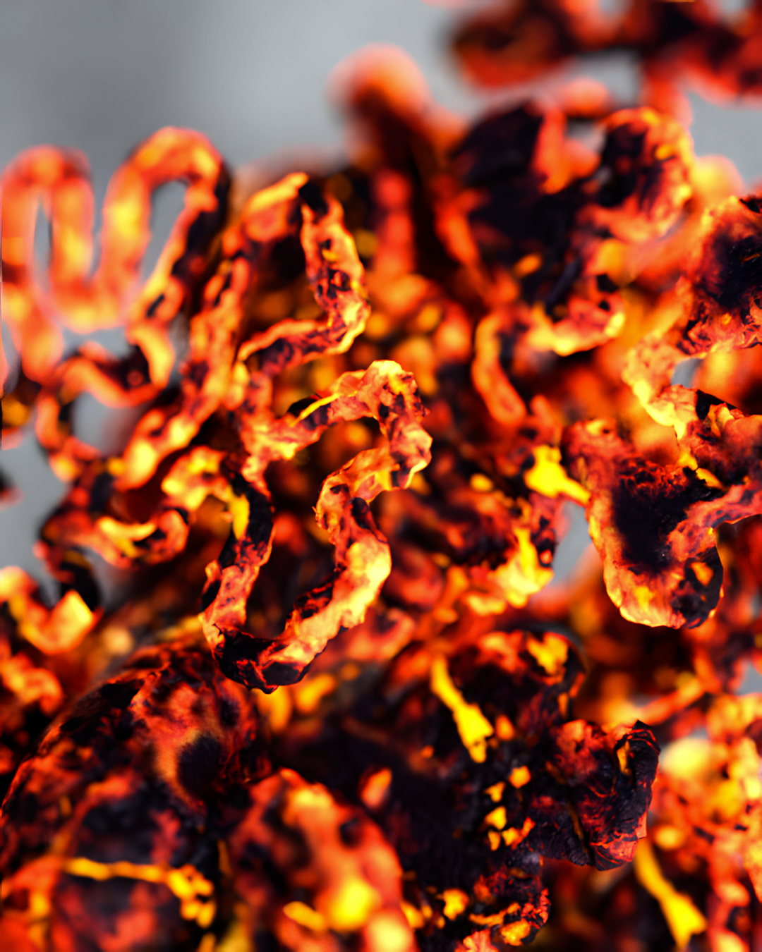 MUSICxMOTION – COMPLETE SERIES